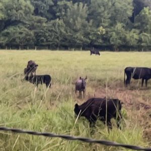 Meet your Posher, Mary